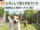 堺市で愛犬と安心して暮らす庭づくり！脱走防止と快適ドッグラン施工のポイント